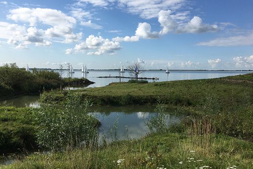 Zeilbootjes op het Haringvliet